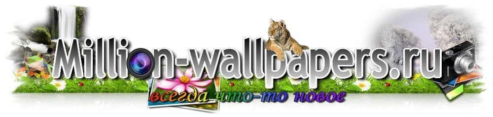 Sfondi HD per laptop e smartphone con million-wallpapers.ru