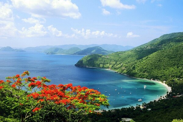 Isole tropicali con splendidi paesaggi