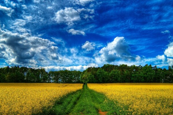 La natura non dimenticabile dei paesaggi rurali