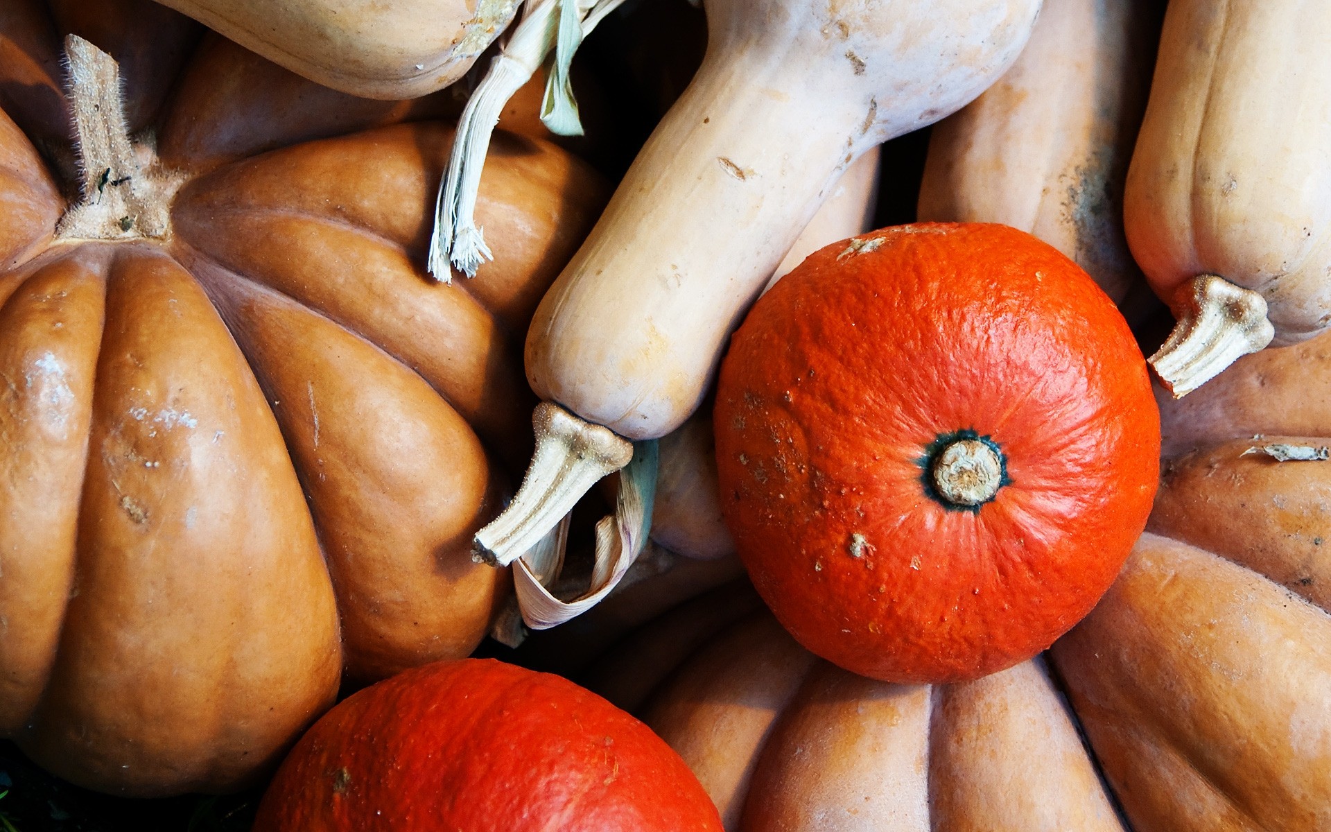 autunno cibo autunno frutta zucca pascolo halloween desktop legno mercato delizioso sano salute agricoltura verdura cibo pasticceria