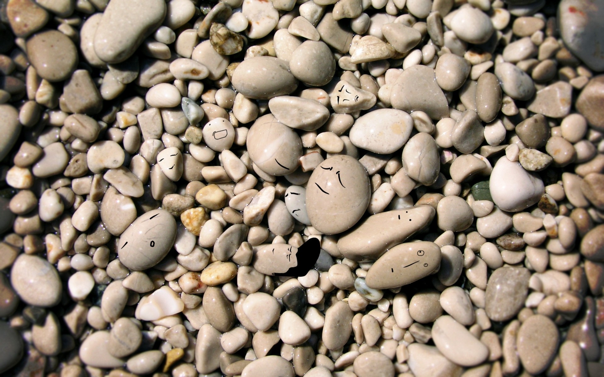 texture fagioli roccia desktop partito primo piano pietra maschio e femmina molti secco ghiaia seme liscio fiocchi caffè astratto ciottoli cibo raccolto zen pietre pietre