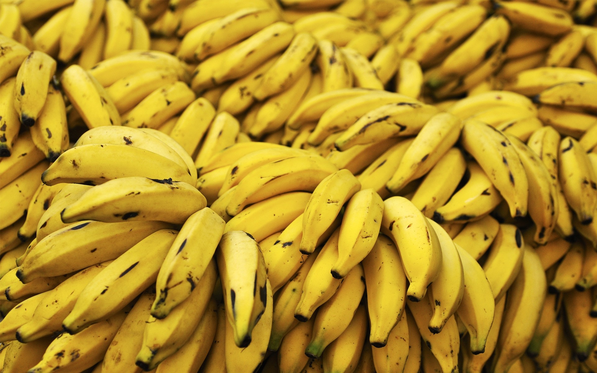 banana cibo frutta crescere cibo mucchio mercato salute gruppo agricoltura molti abbondanza verdura