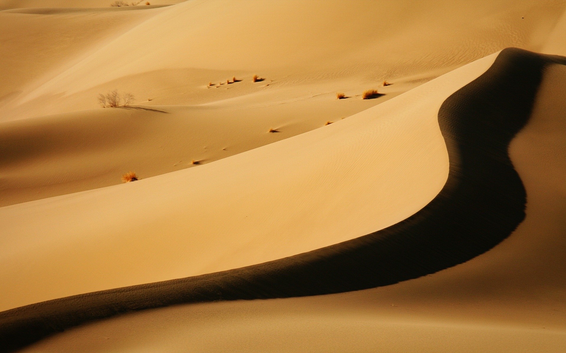 deserto paesaggio spiaggia sabbia viaggi ombra sfocatura dune astratto tramonto dessert sfondo natura