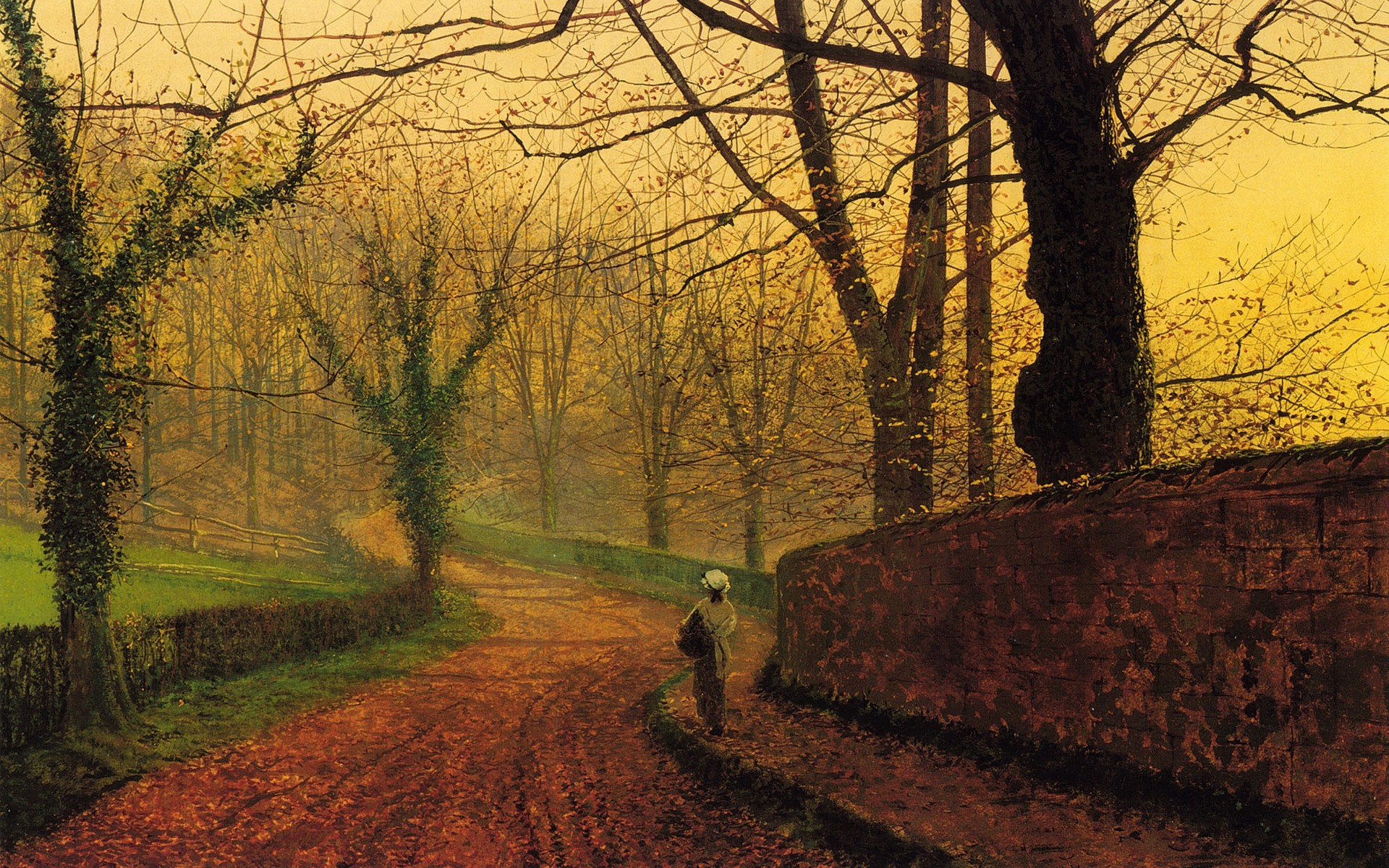 drawings albero paesaggio legno autunno alba all aperto natura ambiente luce foglia parco strada tramonto ramo sera nebbia scenico luce del giorno paesaggio immagine sfondo