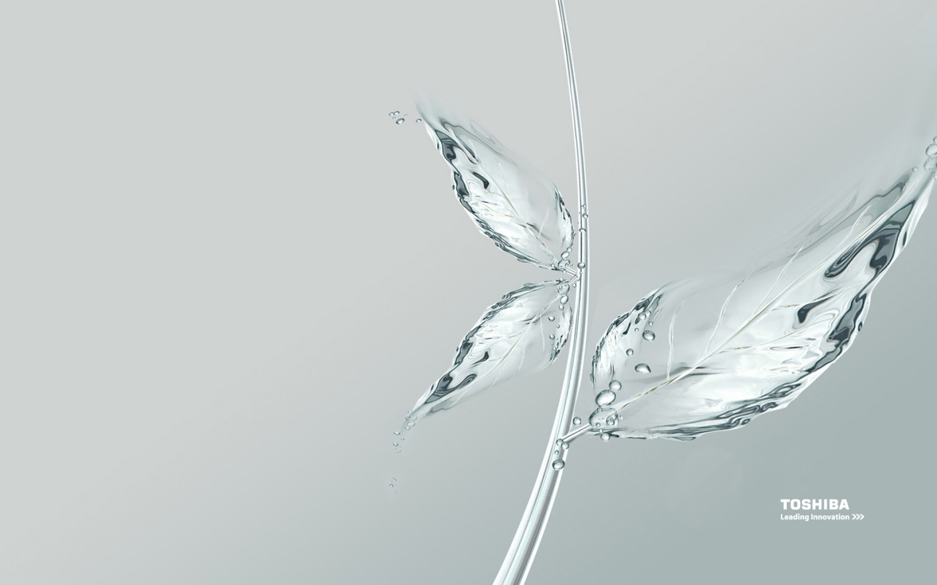 toshiba movimento caduta purezza natura acqua bagnato onda bolla