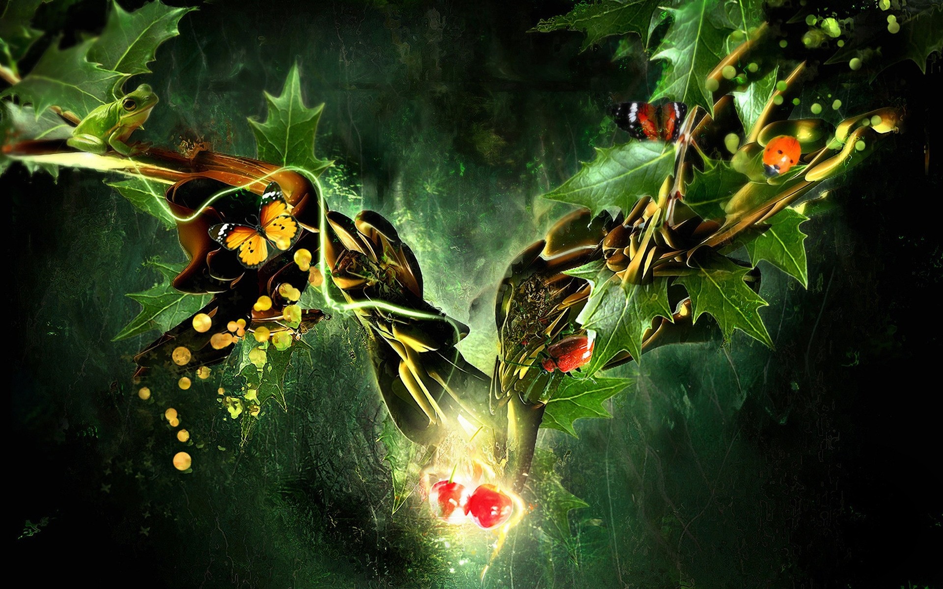 astrazione natura foglia albero flora colore cibo frutta piante