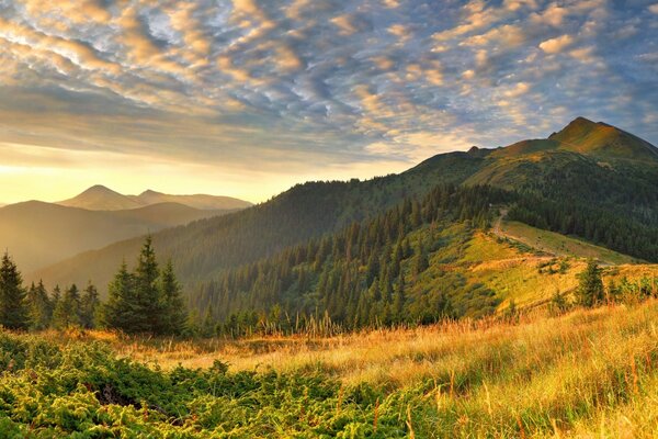 Paesaggio di montagna. Tramonto in montagna