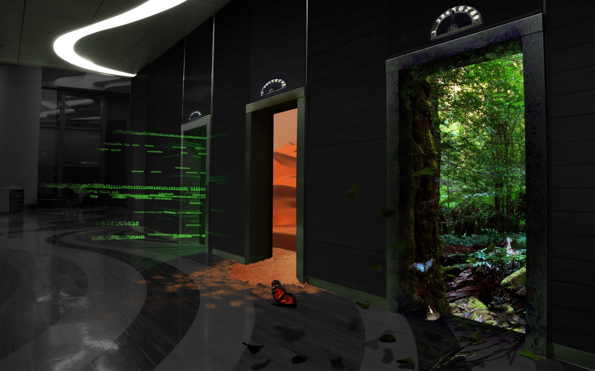 luce paesaggio casa viaggi natura arte techno farfalla sfondo