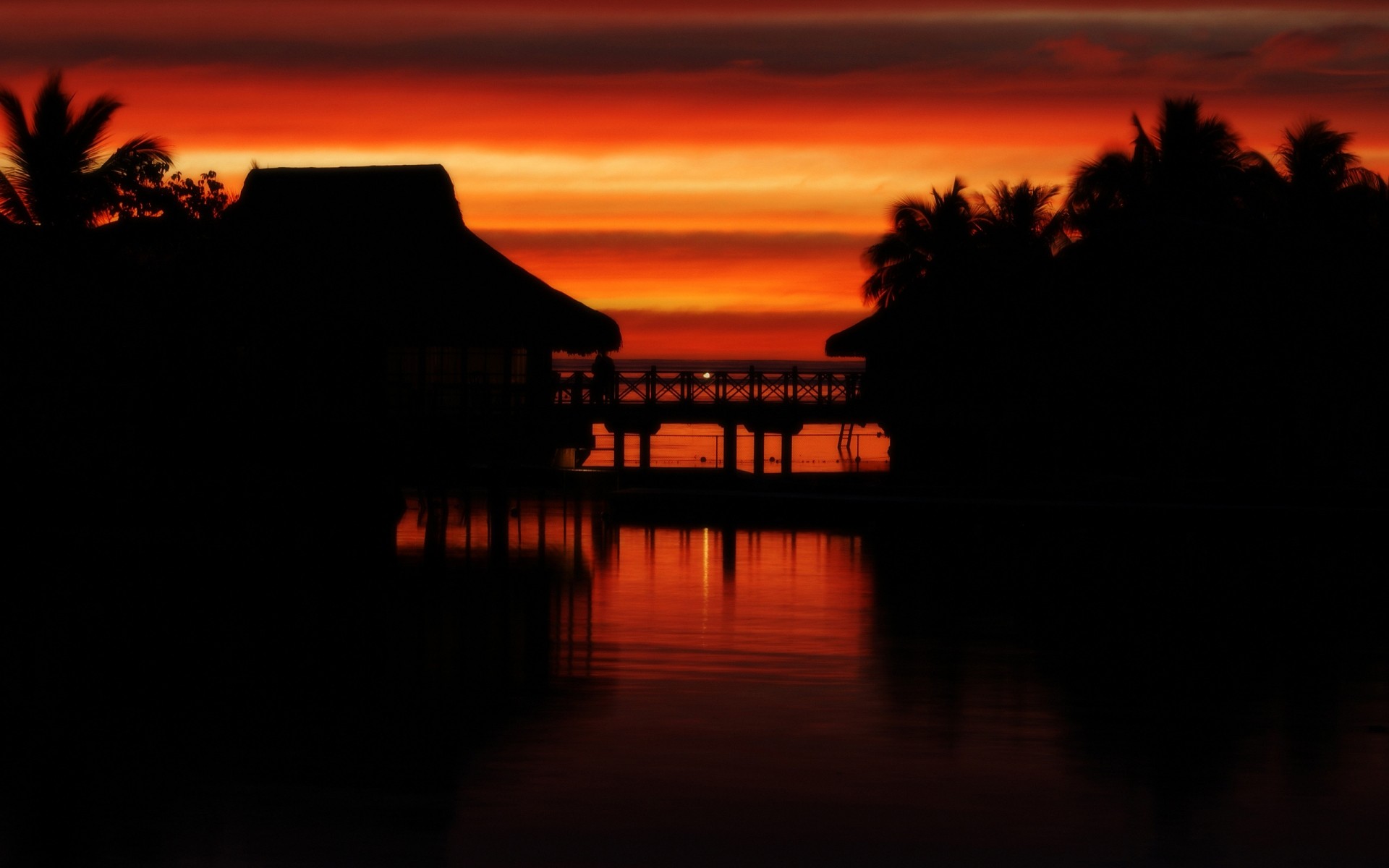 scenario tramonto acqua alba crepuscolo sera riflessione sagoma cielo lago luce sole spiaggia paesaggio mare fiume oceano scuro