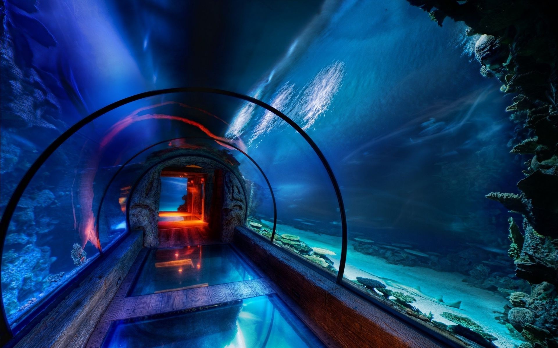 tunnel luce sfocatura viaggi sistema di trasporto traffico sera ingorgo