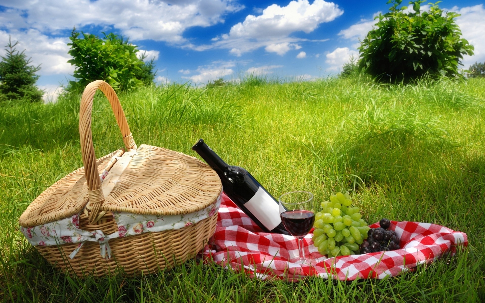 cestino erba di vimini estate picnic natura cibo pascolo giardino campo fieno prato relax all aperto vino uva