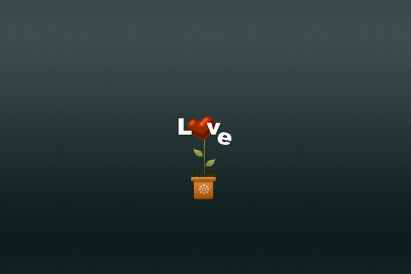 Amore, disegno, vaso da fiori