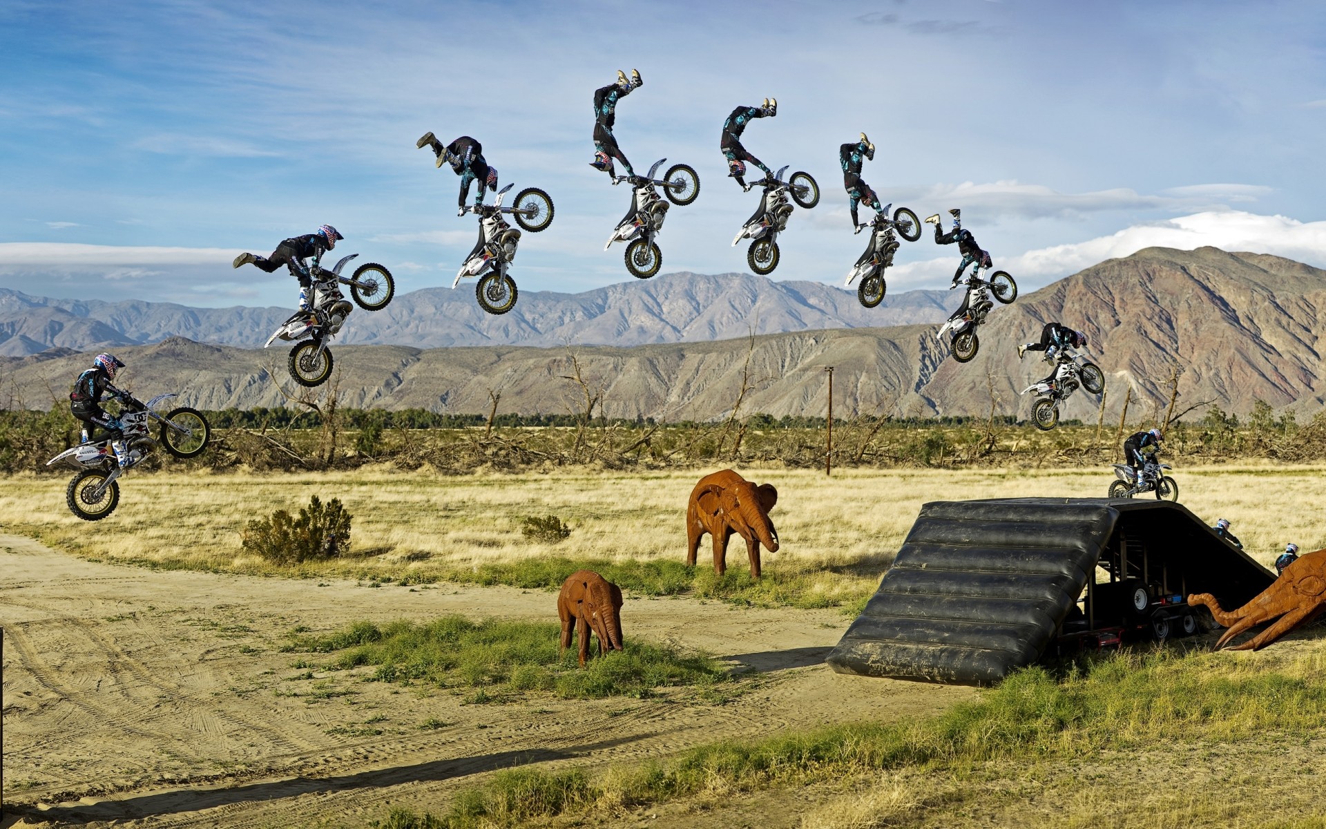 sport erba natura paesaggio all aperto cielo estate viaggi campo rurale campagna giungla elefante giocattoli statue moto