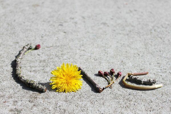Iscrizione amore da materiali improvvisati sulla sabbia