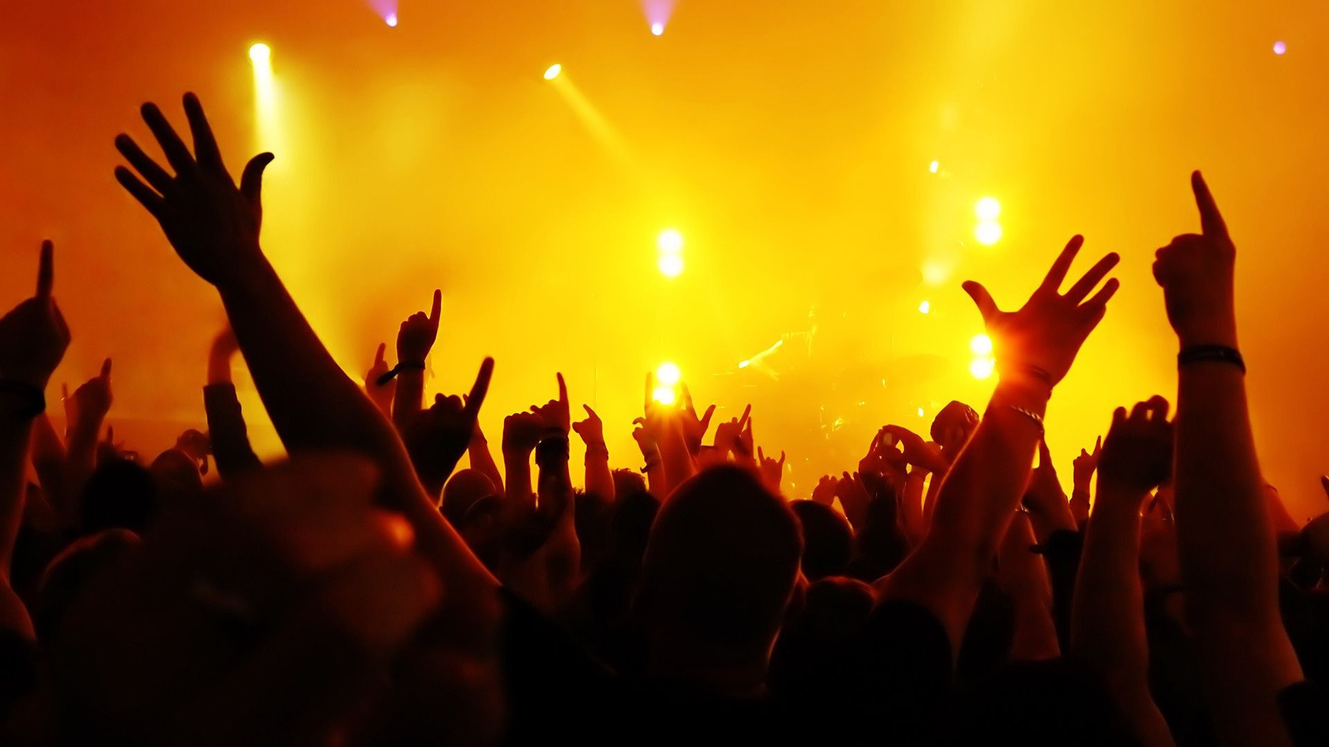 musica concerto folla pubblico danza palcoscenico prestazioni musicista sfocatura band tramonto rave band persona vacanza cantante partito festival luce