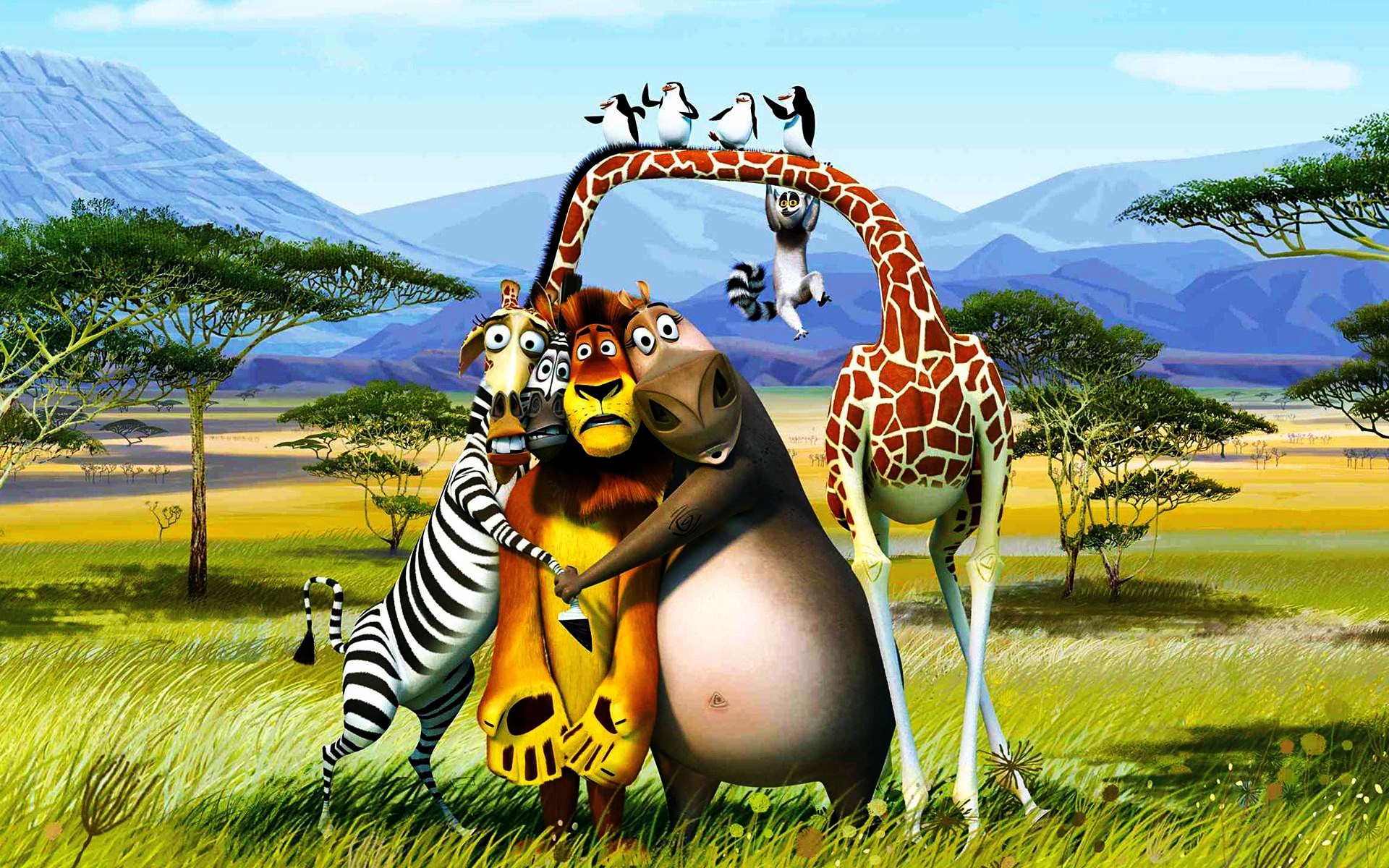 film natura cielo erba estate divertimento pinguini deserto alberi montagne africa kavalsky