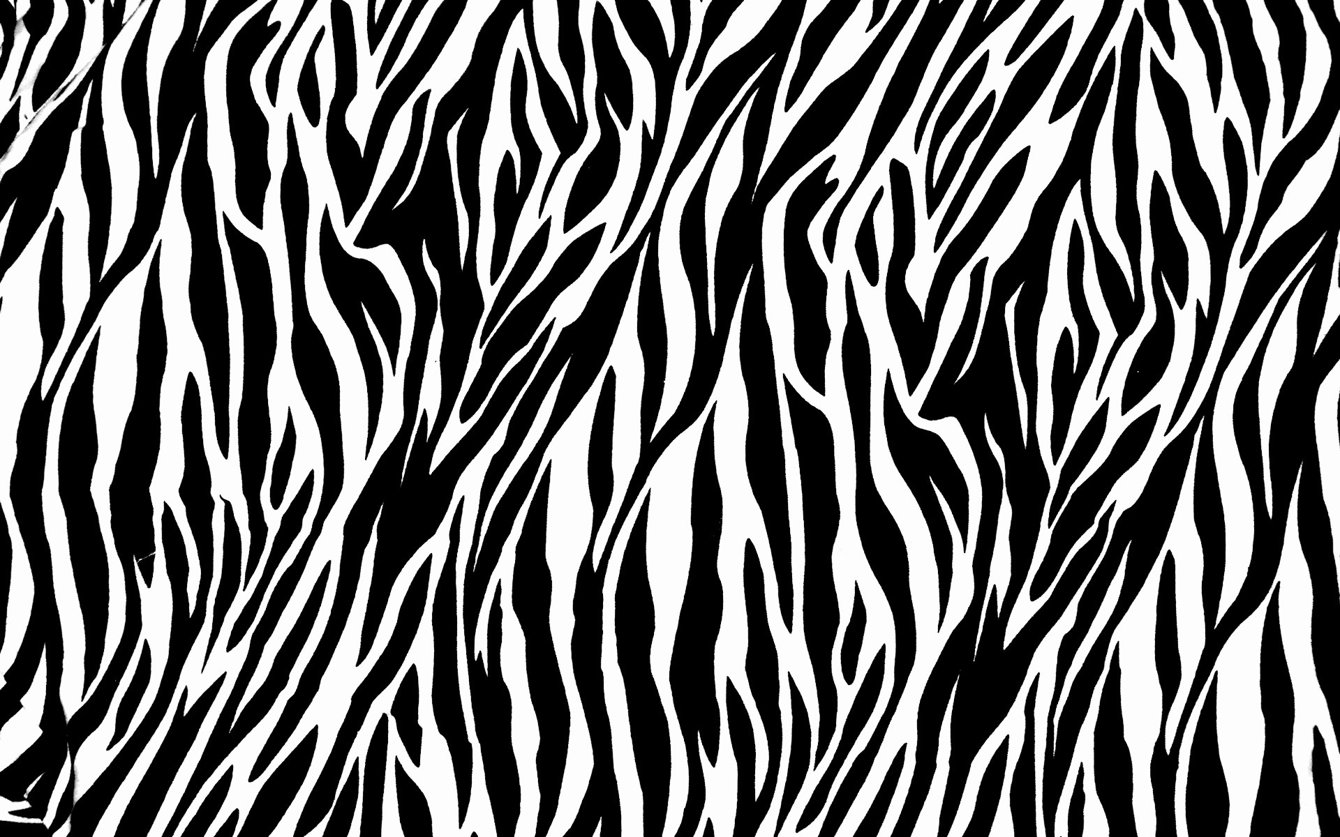modello zebra astratto senza soluzione di continuità ripetere pelliccia struttura design tessile tessuto carta da parati grafico desktop sfondo striscia illustrazione arte camouflage ripetizione stampa nero bianco