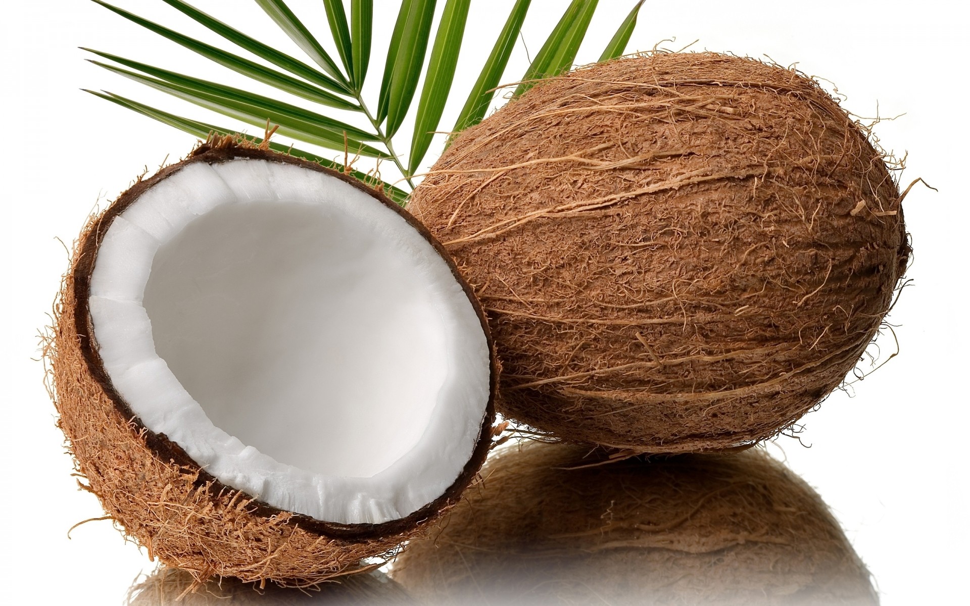 noce di cocco palma natura cibo tropicale salute isolato esotico desktop di legno di paglia latte frutta sfondo