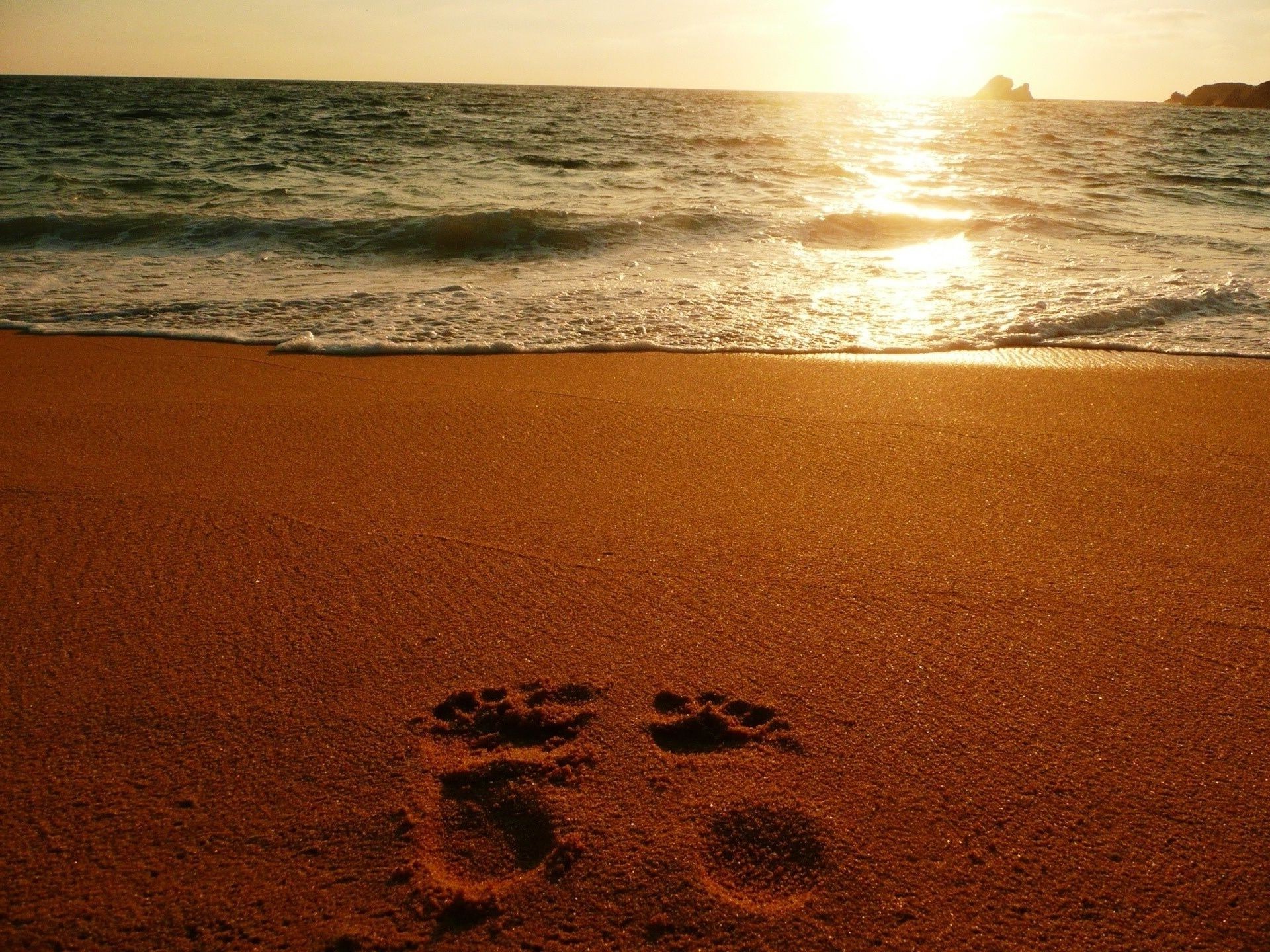 tramonto e alba spiaggia sabbia tramonto mare mare acqua oceano surf sole paesaggio alba sera paesaggio bel tempo crepuscolo onda viaggi sentiero marea
