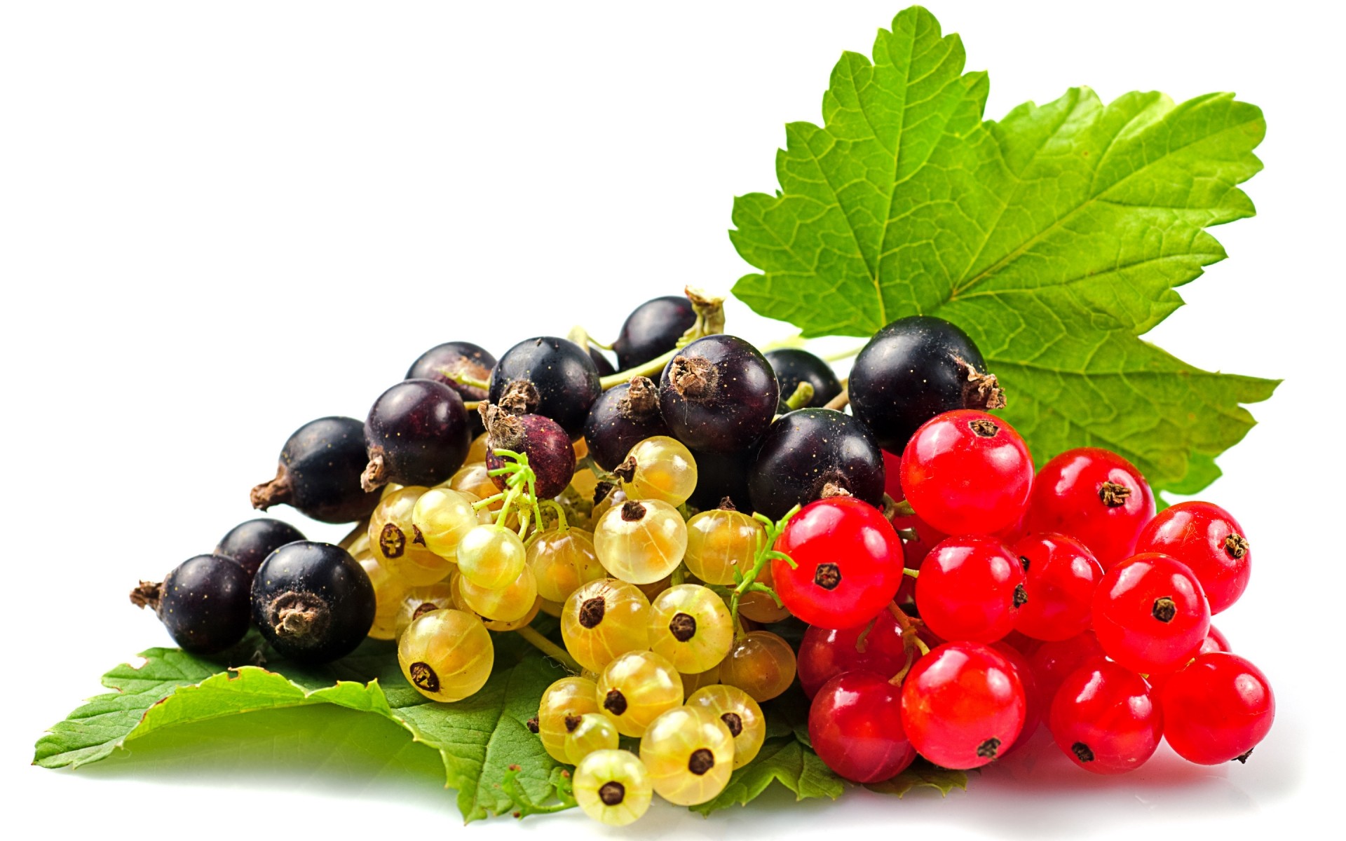 frutta bacca succosa cibo sano pasticceria foglia salute nutrizione pascolo ribes dieta gustoso cluster vitamina delizioso dolce natura isolato ribes nero ribes bianco ribes rosso bacche frutta