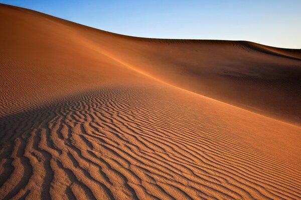 Duna di sabbia nel deserto all alba