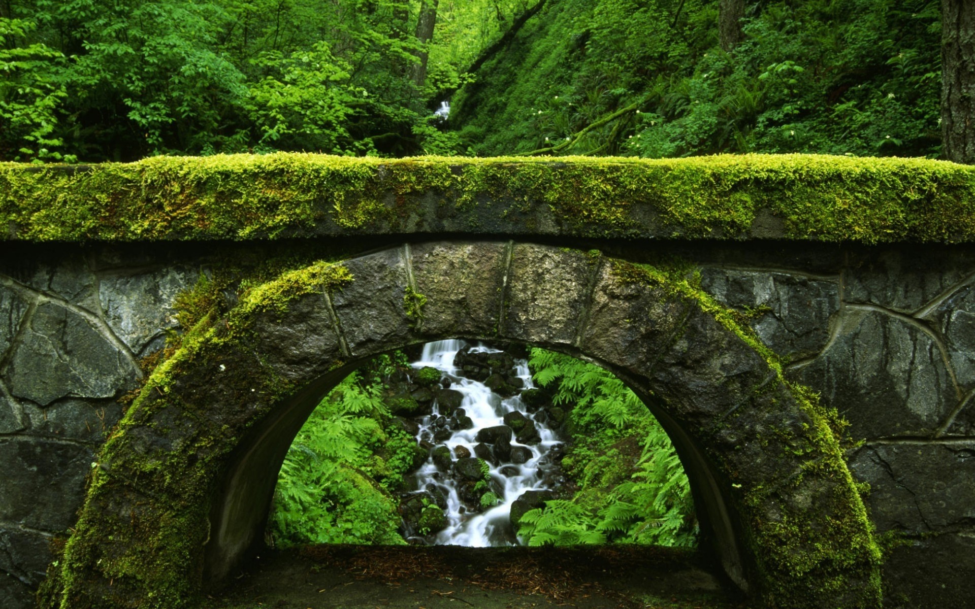 paesaggio acqua di viaggio paesaggio muschio foglia scenic pietra ambiente natura legno fiume all aperto albero parco luce del giorno sfondo erba ponte