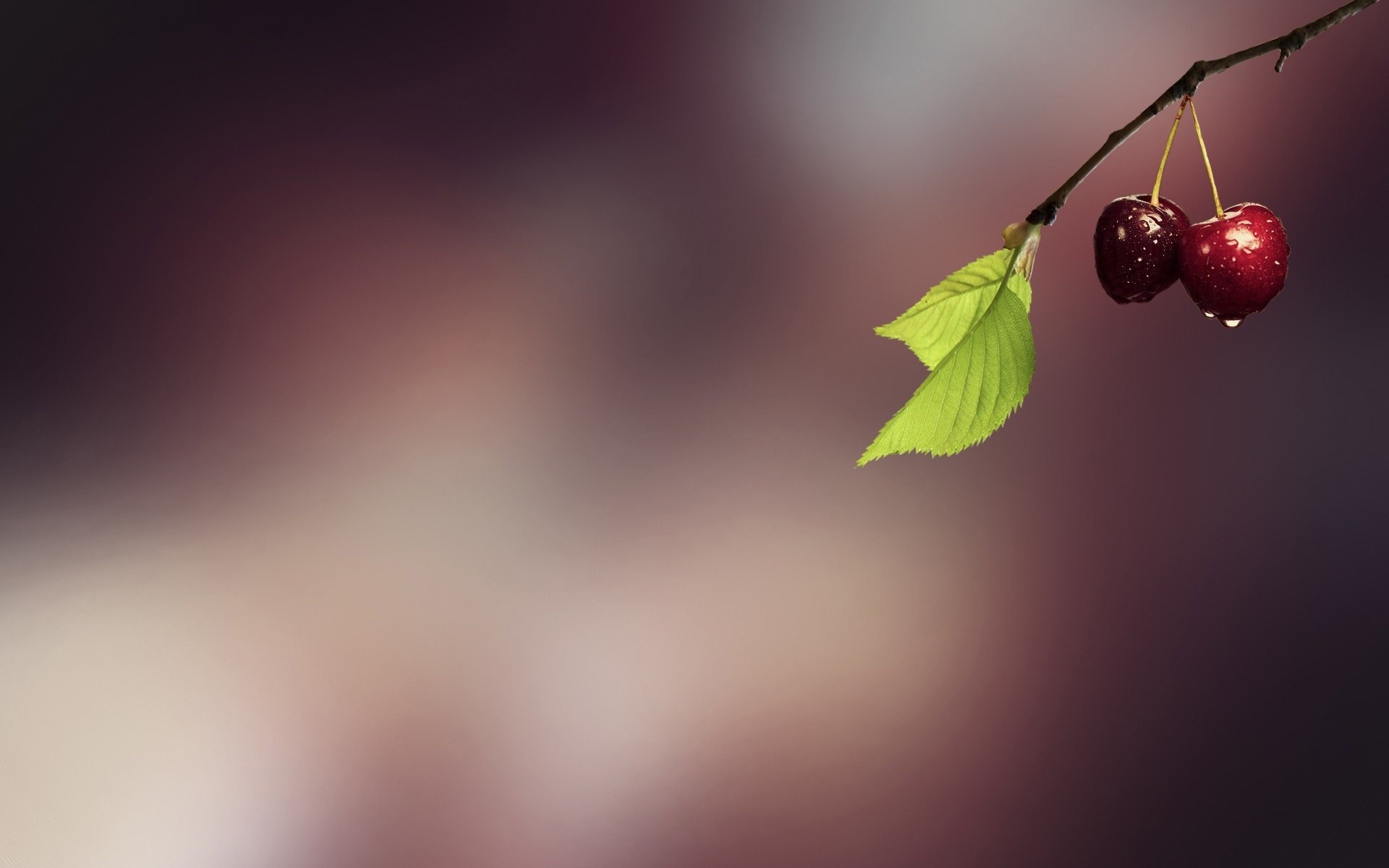 sfocatura natura foglia astratto arte ciliegie frutta