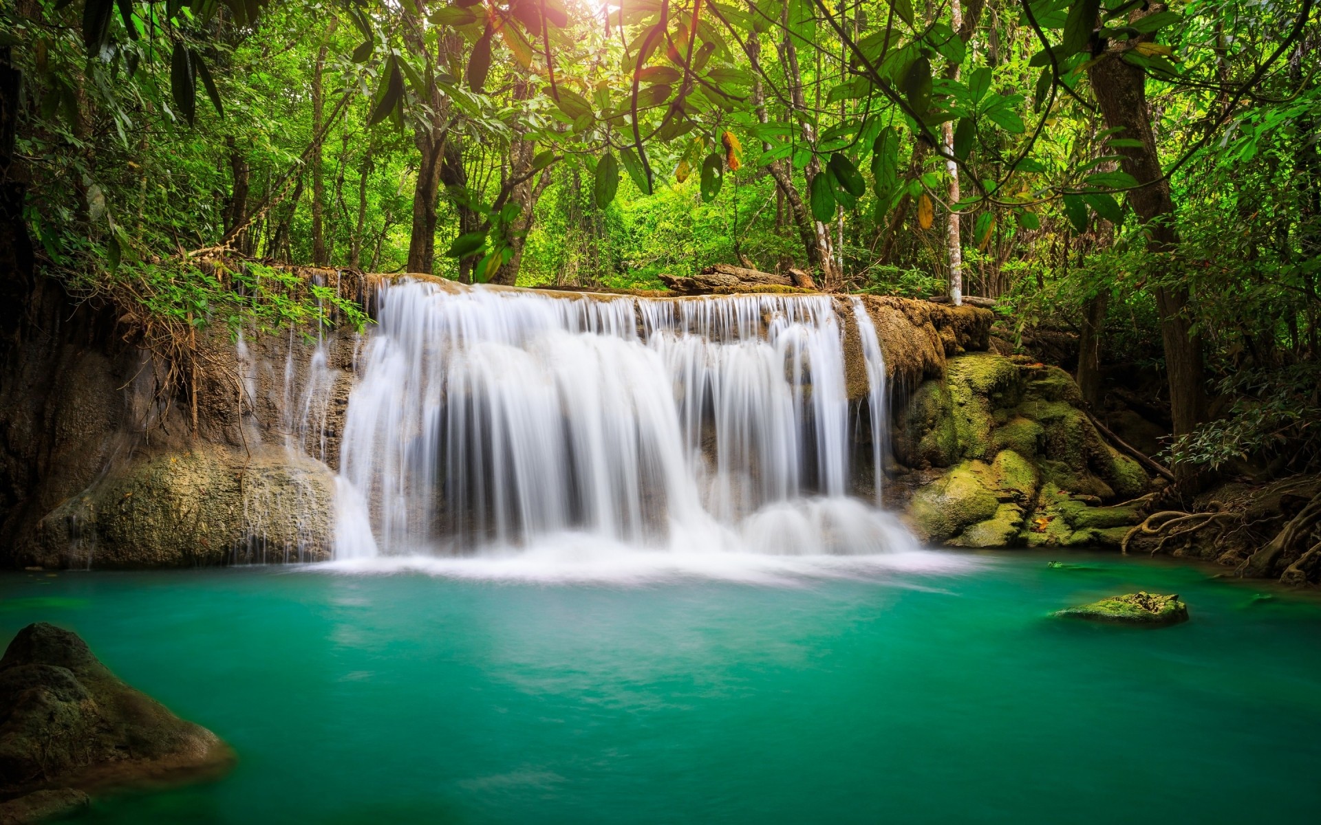 paesaggio acqua cascata natura legno flusso fiume foglia roccia cascata movimento flusso purezza all aperto viaggi tropicale bagnato autunno creek selvaggio foresta paesaggio