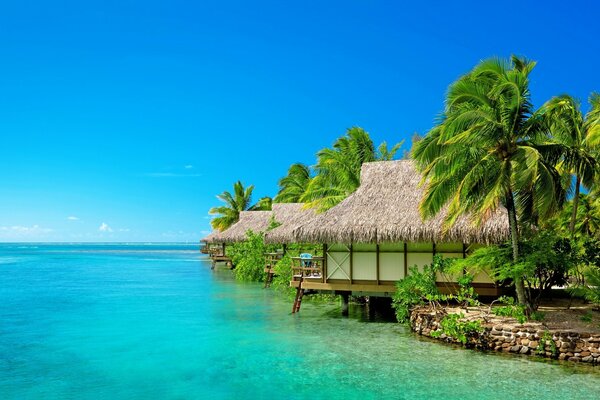 Bungalow esotici che si protendono nel mare