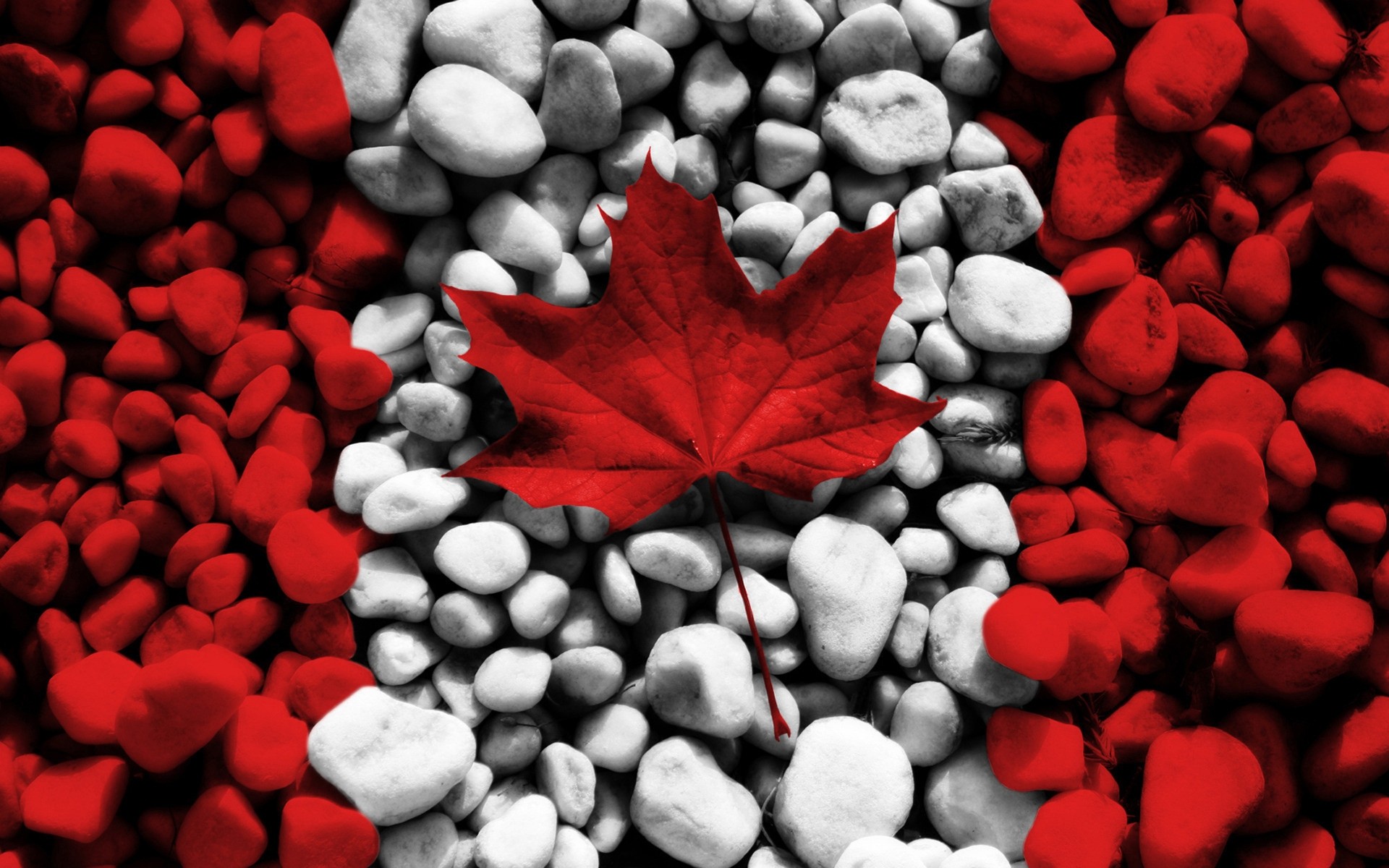 cuore desktop roccia pietra amore forma primo piano ghiaia canada bandiera