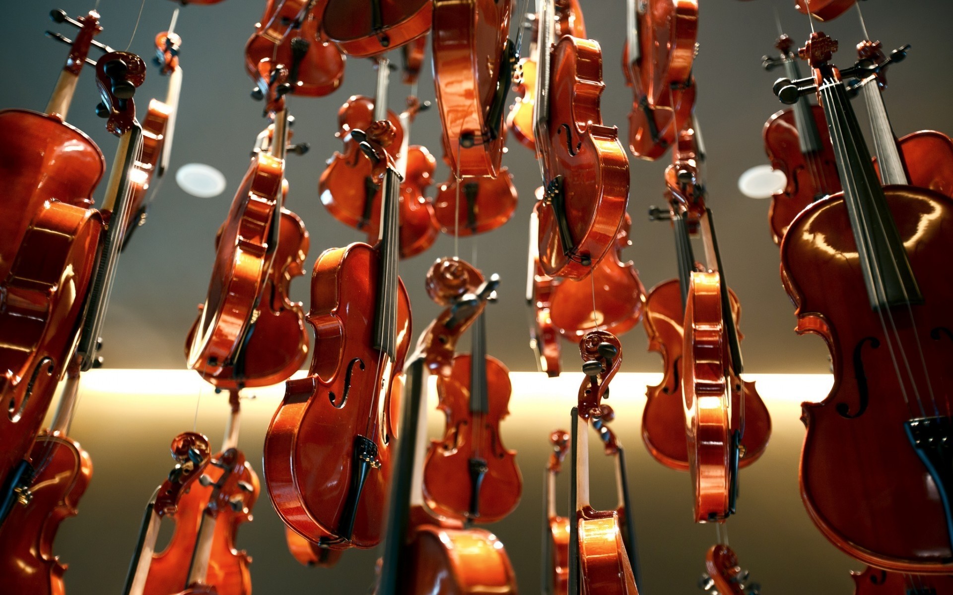 violino musica classico musica classica strumento violoncello concerto legno strumento a corda ad arco musicista viola violinista prestazioni indoor suono orchestra interior design arte artistico violino strumenti strumenti musicali