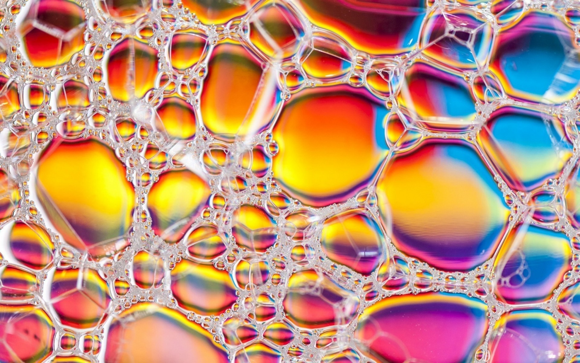 astratto modello struttura telefono cellulare desktop design decorazione carta da parati arte colore forma microbiologia geometrica sfondo luminoso chimica biologia illustrazione scienza particelle schiuma bolle