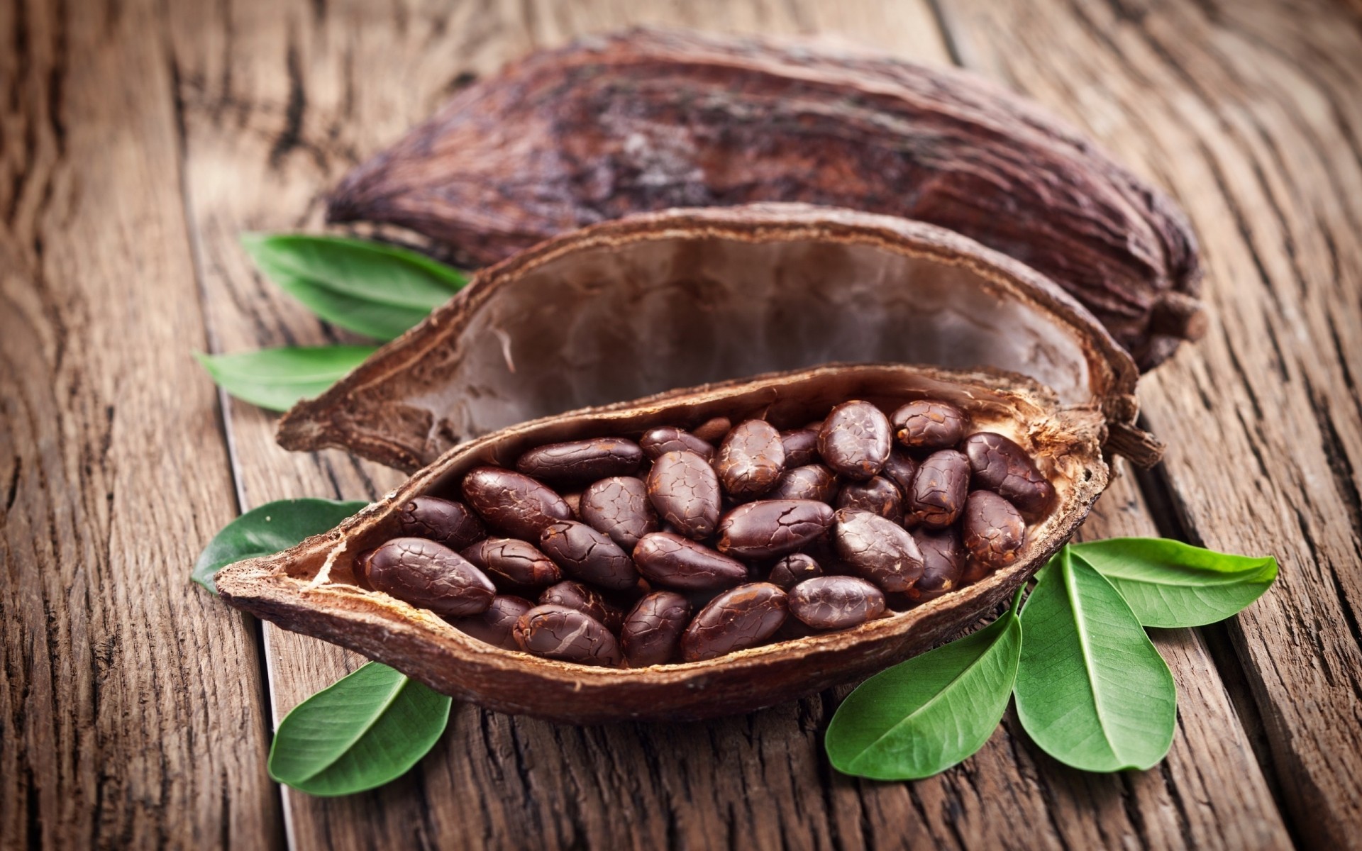 cibo legno fagioli caffè profumo legno bere scuro caffeina primo piano agricoltura aromatico cacao fagioli foglie