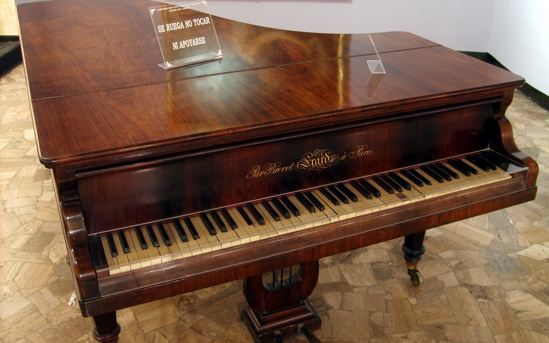 pianoforte musica legno ebano suono gatto classico strumento mobili canzone interno antico interior design musicista retrò sintetizzatore jazz famiglia vecchio