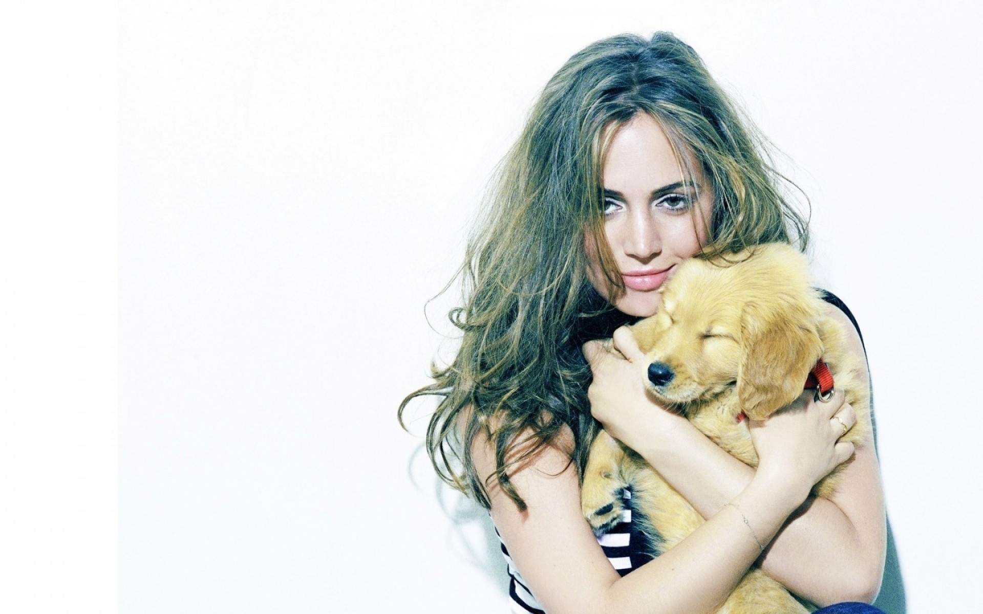 ragazza bella giovane donna ritratto carino studio moda desktop modello bella capelli sexy attraente isolato glamour riccio cucciolo attrice