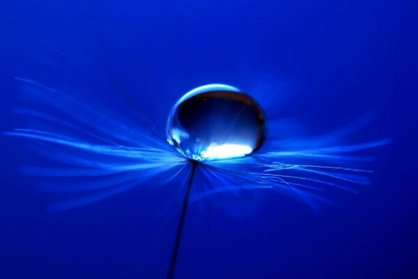 Astratto sfocato di luce e acqua