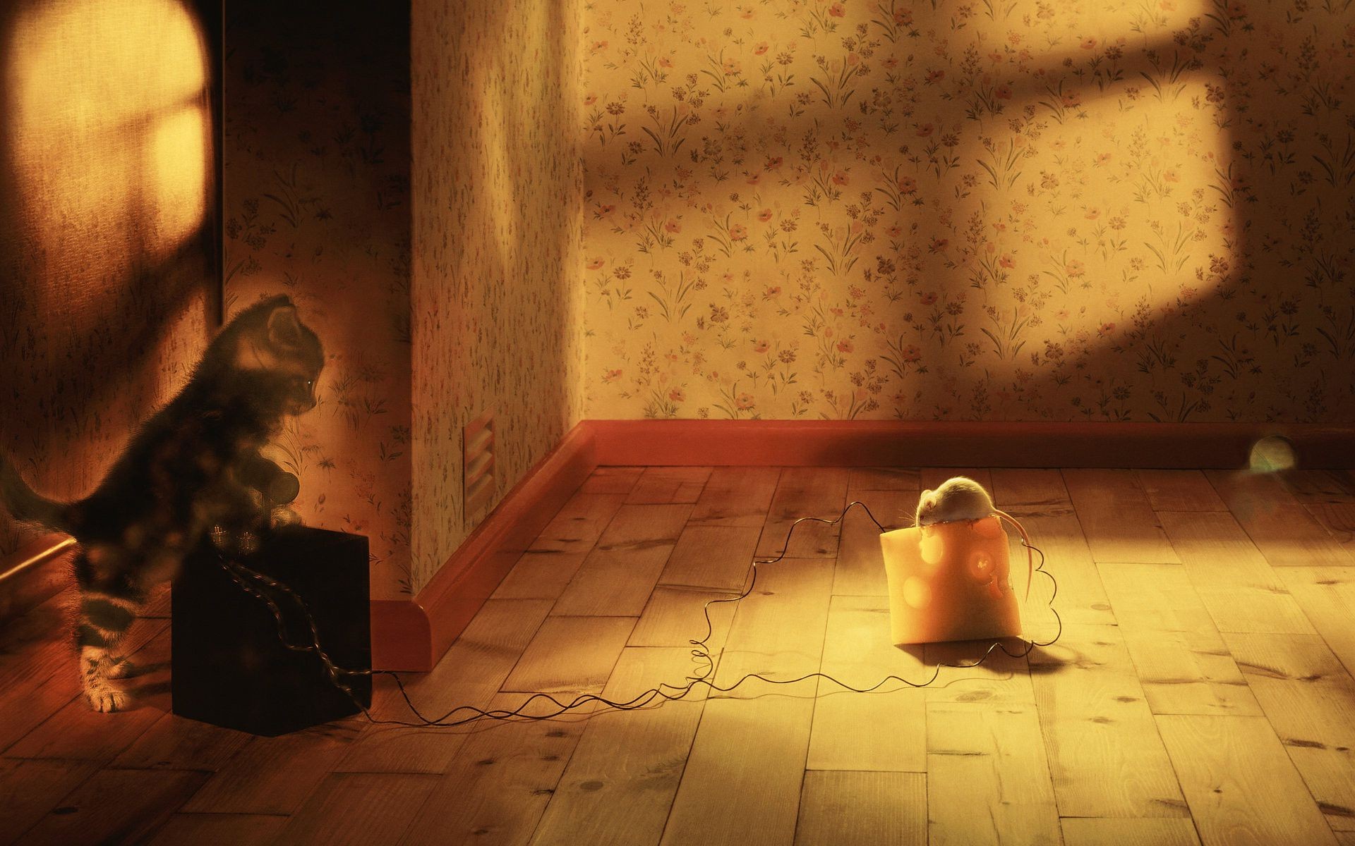 singolo interno camera adulto luce ragazza ritratto nudo donna indossare parete