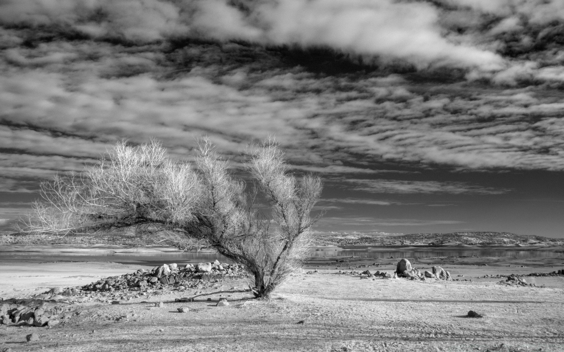bianco e nero paesaggio acqua in bianco e nero inverno natura tempesta