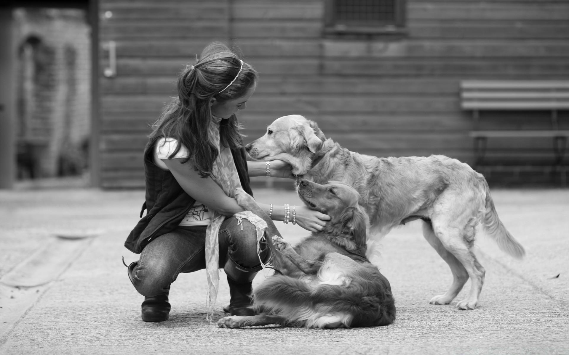 in bianco e nero cane adulto canino uno bambino in bianco e nero strada due donna mammifero ritratto