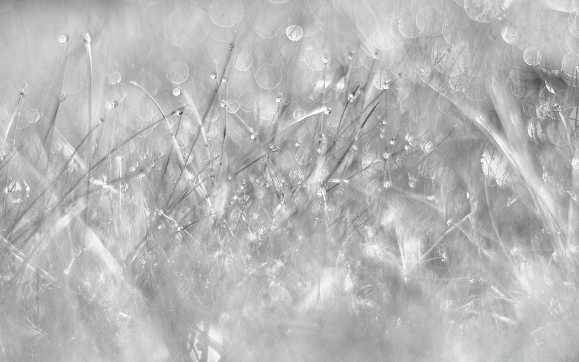 bianco e nero astratto desktop natura luce texture splende neve design modello luminoso carta da parati inverno colore arte sfondo