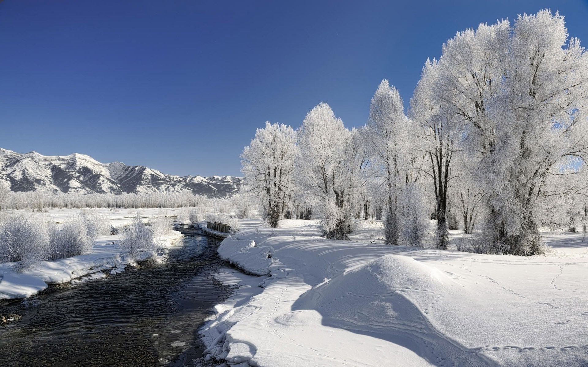 fiumi stagni e torrenti stagni e torrenti neve inverno freddo gelo ghiaccio congelato paesaggio legno tempo legno gelido scenico montagna