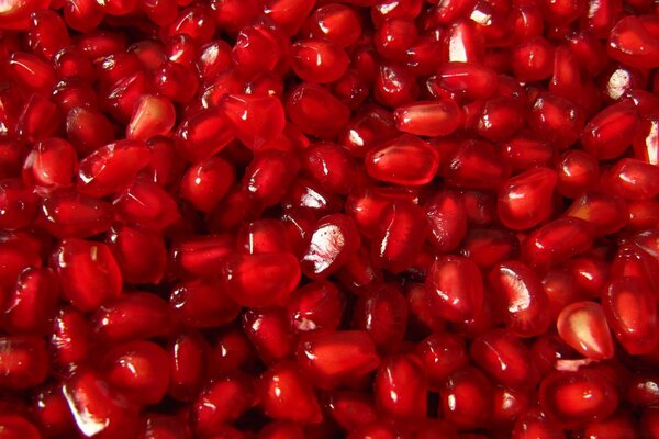Molti chicchi di melograno rosso