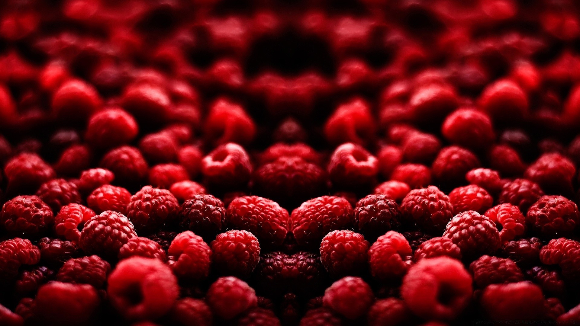 frutta bacca cibo dolce lampone desktop sano primo piano delizioso dieta pasticceria succosa colore epicuro delizioso cibo partito rinfrescante