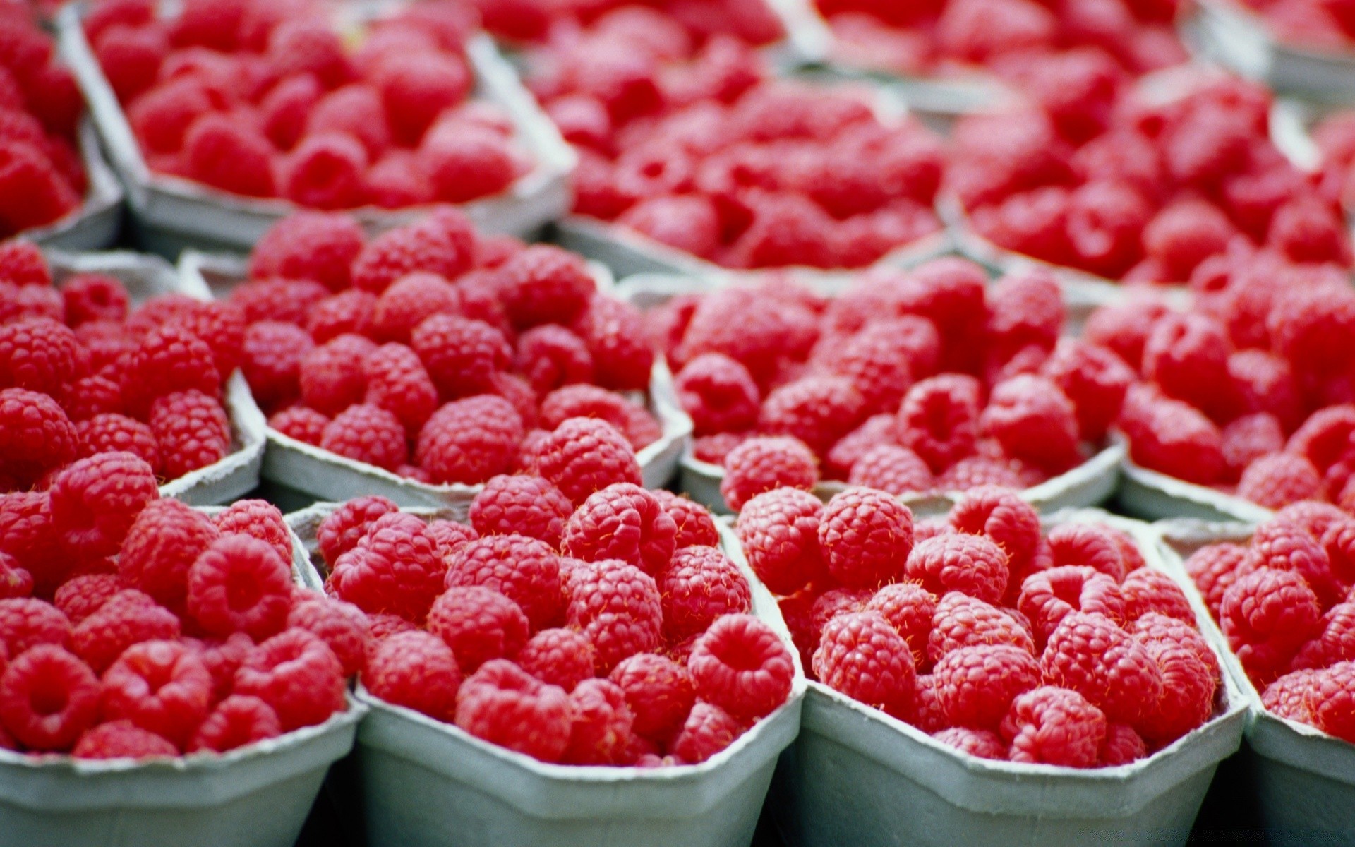 frutta lampone cibo dolce bacca succoso delizioso sano mercato dieta freschezza nutrizione molti delizioso salute partito ciotola pascolo