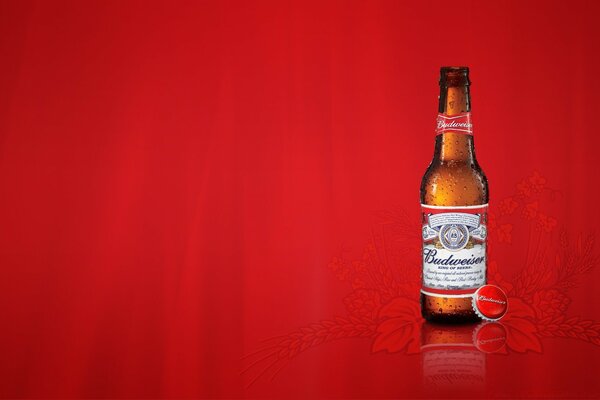 Birra Budweiser su sfondo rosso elegante