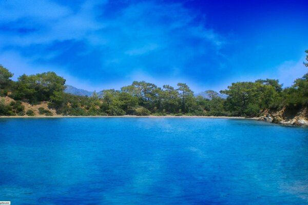 Paesaggio tropicale: mare, foresta e cielo