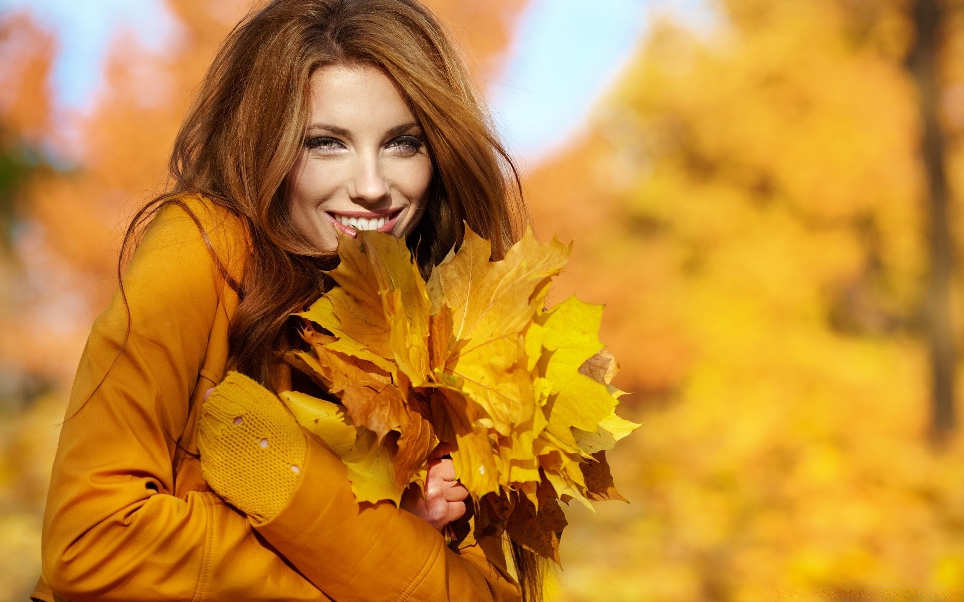 altre ragazze autunno natura donna acero all aperto foglia bella ragazza parco ritratto uno stagione bella moda
