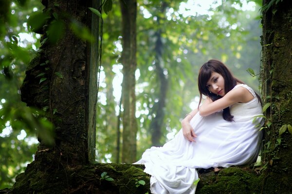 Ragazza in camicia bianca nella foresta
