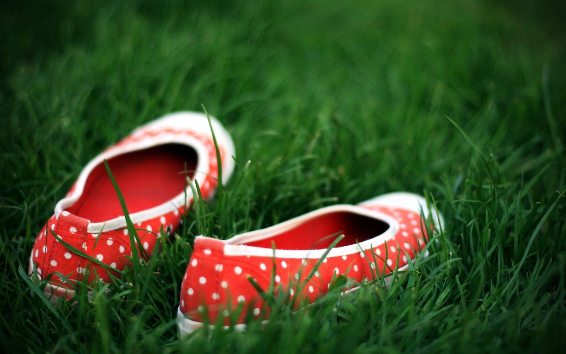 erba estate campo pelle colore prato tempo libero scarpa all aperto due fieno coppia natura close-up