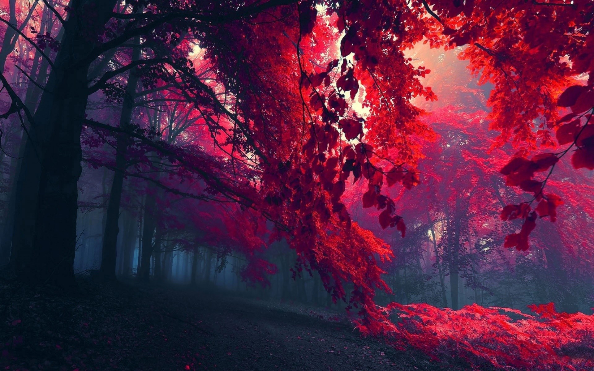 cuori arte luce